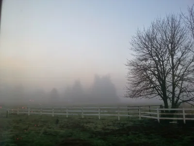 North Plains - Photo 3