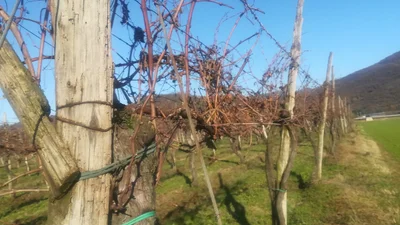 Rodengo - Photo 5
