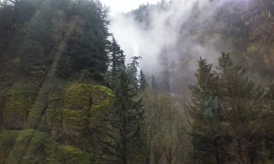 Multnomah County - Photo 2