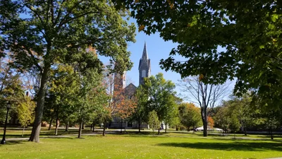 Bowdoin College Grant East Township - Photo 4