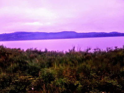 Bay City - Photo 5