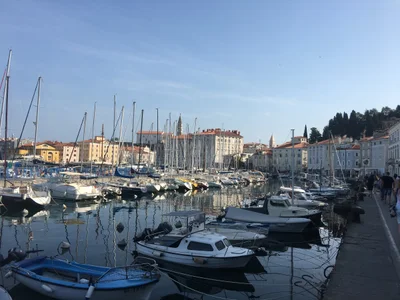 Piran / Pirano - Photo 5