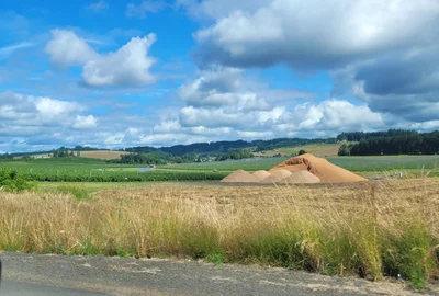 Tillamook - Photo 5