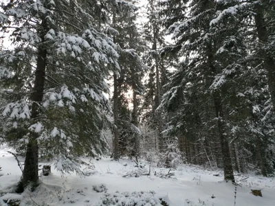 Picherande - Photo 2