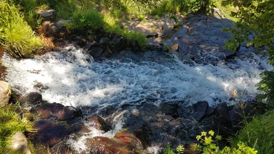 Picherande - Photo 4