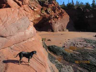 Village of Fundy-St. Martins - Photo 5