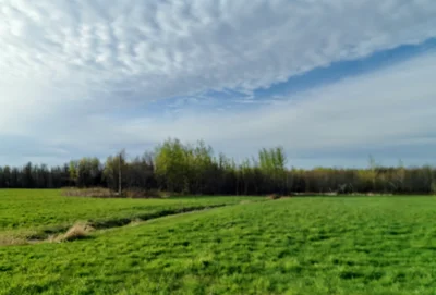 Roxton Pond - Photo 5