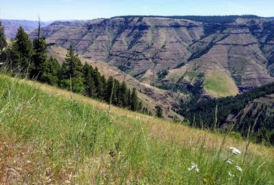 Wallowa County - Photo 4