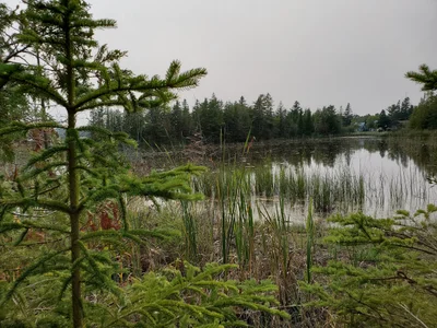 Presque Isle Township - Photo 2