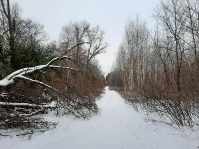 Town of Stephenson - Photo 2
