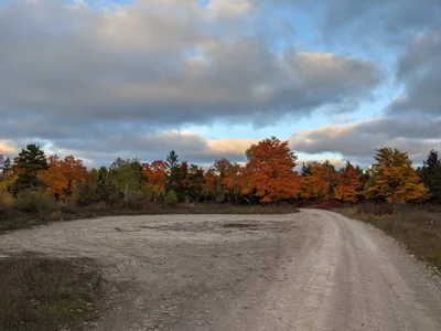Alpena Township - Photo 2