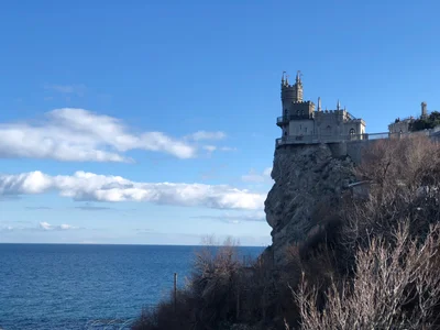 Саки - Photo 5