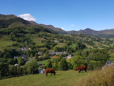 Mandailles-Saint-Julien - Photo 2