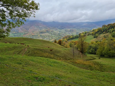 Mandailles-Saint-Julien - Photo 4