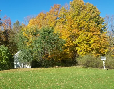 Echo Township - Photo 2