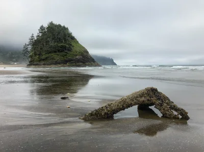 Neskowin - Photo 3