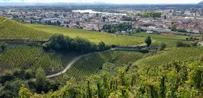 Tain-l'Hermitage - Photo 5