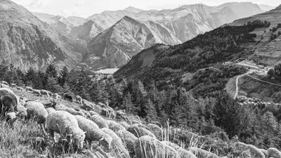 Mont-de-Lans - Photo 2