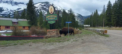 Cooke City - Photo 3