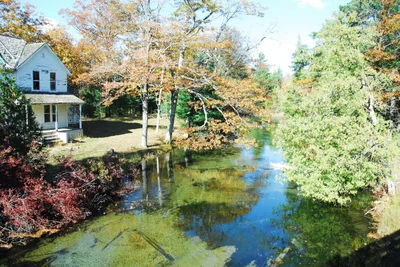 Glen Arbor Township - Photo 5