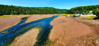 Bay Of Fundy - Photo 2
