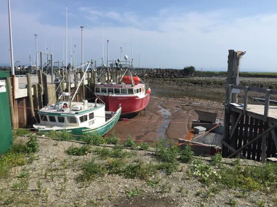 Bay Of Fundy - Photo 4