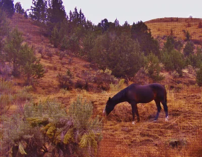 Grant County - Photo 2
