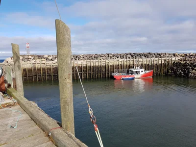 Town of Digby - Photo 4