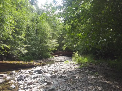 Linn County - Photo 2