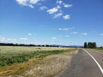 Linn County - Photo 3