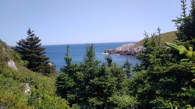 Duncans Cove - Photo 3
