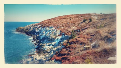 Duncans Cove - Photo 4