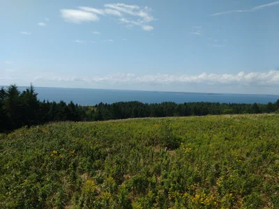 Big Tancook Island - Photo 3