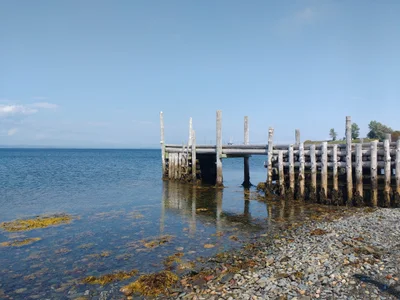 Big Tancook Island - Photo 5