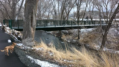 John Day - Photo 4