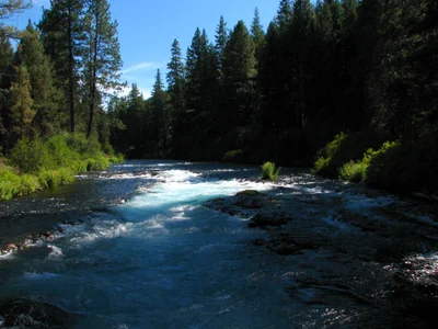 Deschutes County - Photo 5