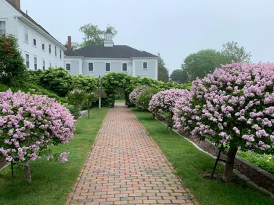 Castine - Photo 2