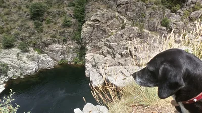 Gorges du Tarn Causses - Photo 5