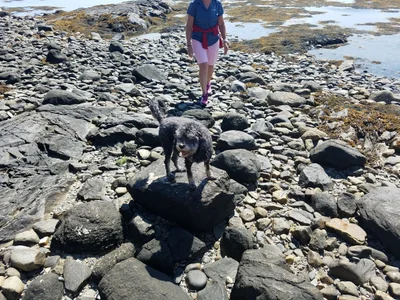 Islesboro - Photo 4