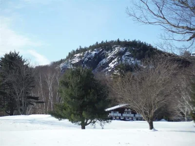 Bartlett - Photo 4