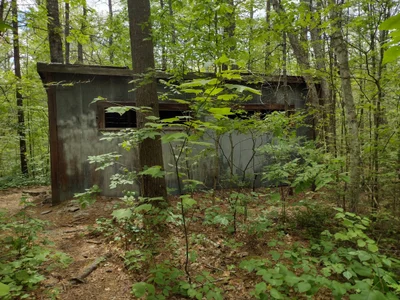 Conway - Photo 5