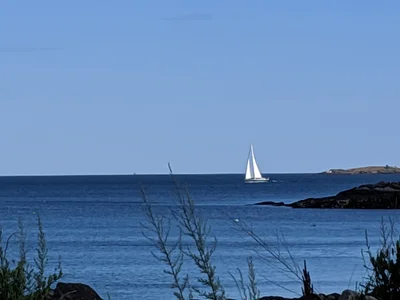 Owls Head - Photo 5