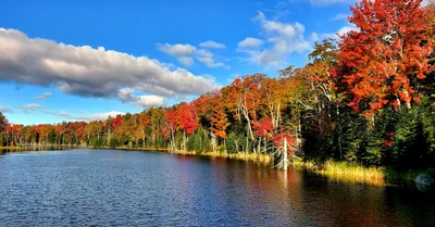 Hamilton County - Photo 4