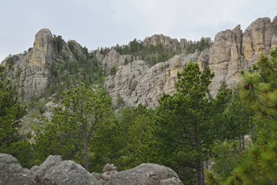 Custer County - Photo 2
