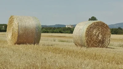 Campi Bisenzio - Photo 3