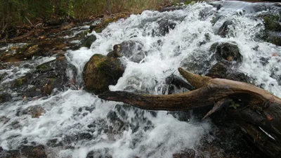 Charlevoix County - Photo 2