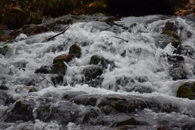 Charlevoix County - Photo 4