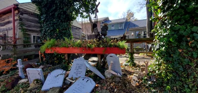 Yellow Springs - Photo 3