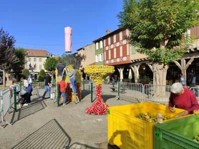 Mirepoix - Photo 2