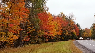 Warren County - Photo 4